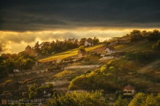 Freyburg, (Unstrut) | Deutschland