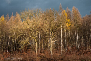 Weserbergland | Deutschland