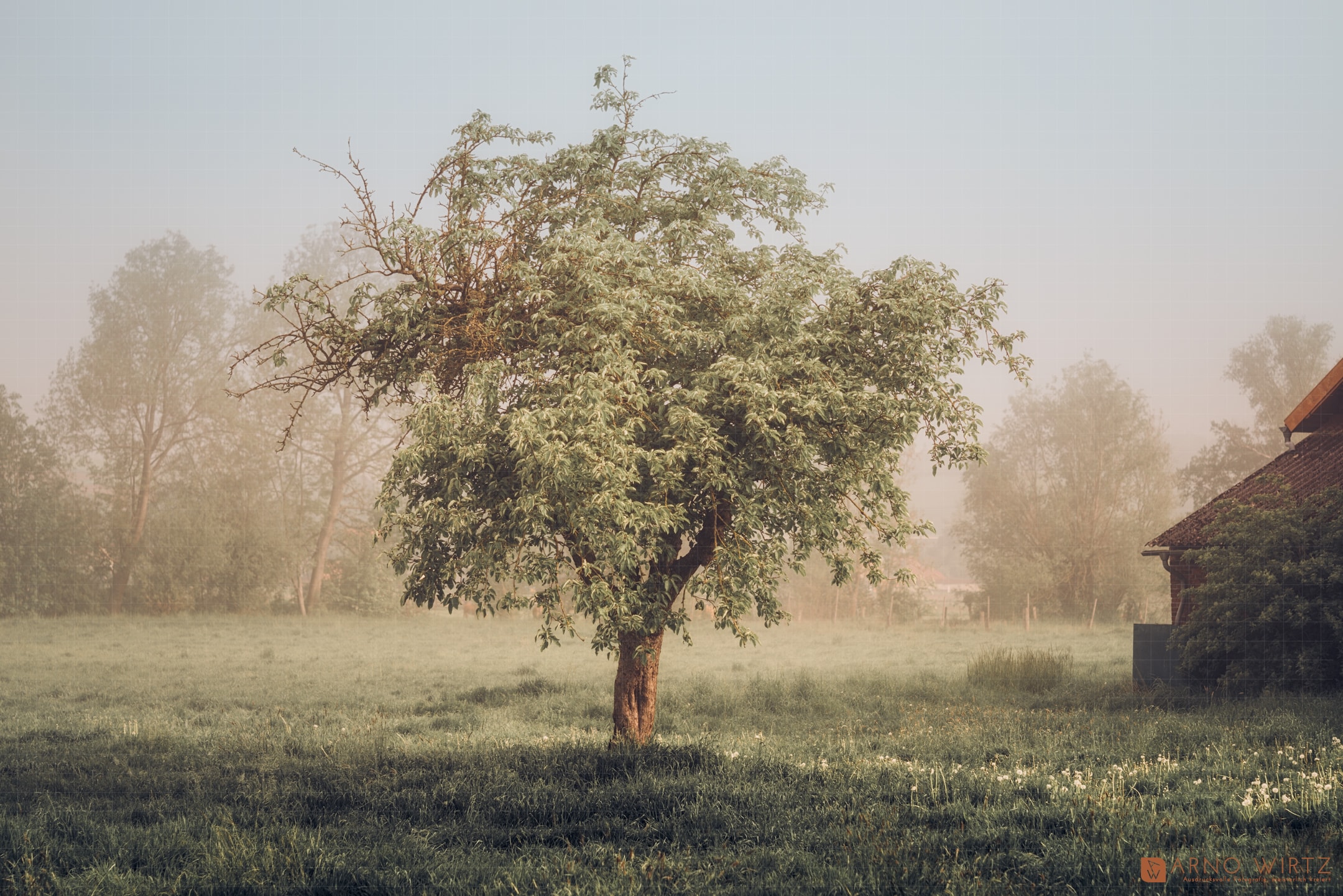 Beller (8187248) | Copyright © 2019 Arno Wirtz