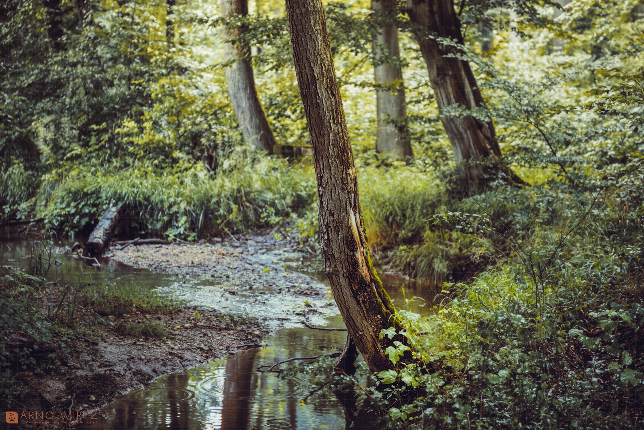 Emde, Brakel (8230503) | Copyright © 2023 Arno Wirtz